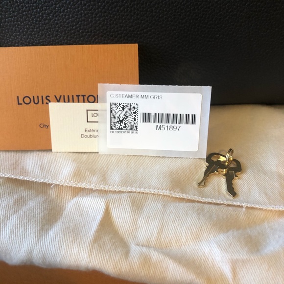✨🖤Louis Vuitton Gris City Steamer MM🖤✨ - Picture 10 of 13